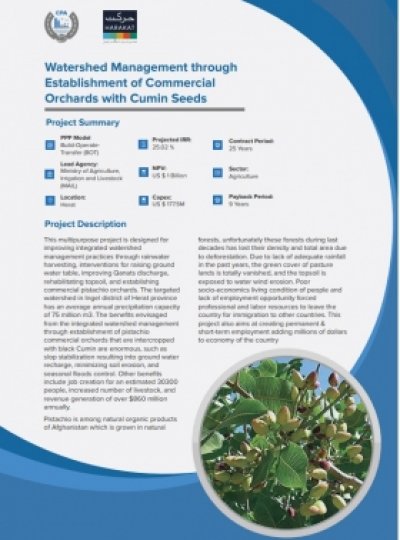 Watershed Management through Establishment of Commercial Orchards with Cumin Seeds