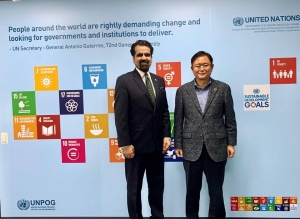 UNPOG in Korea